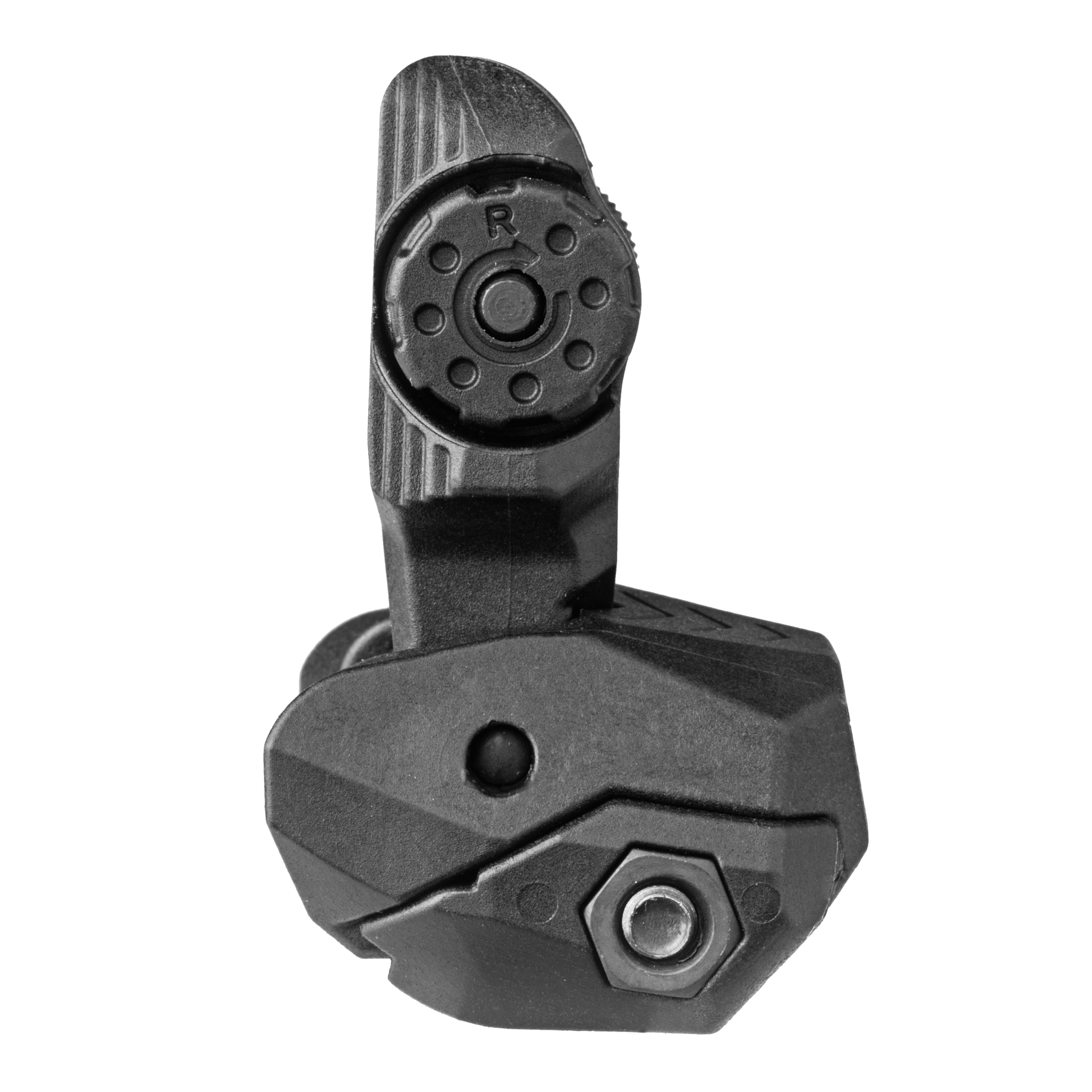 Rear Back-Up Sight